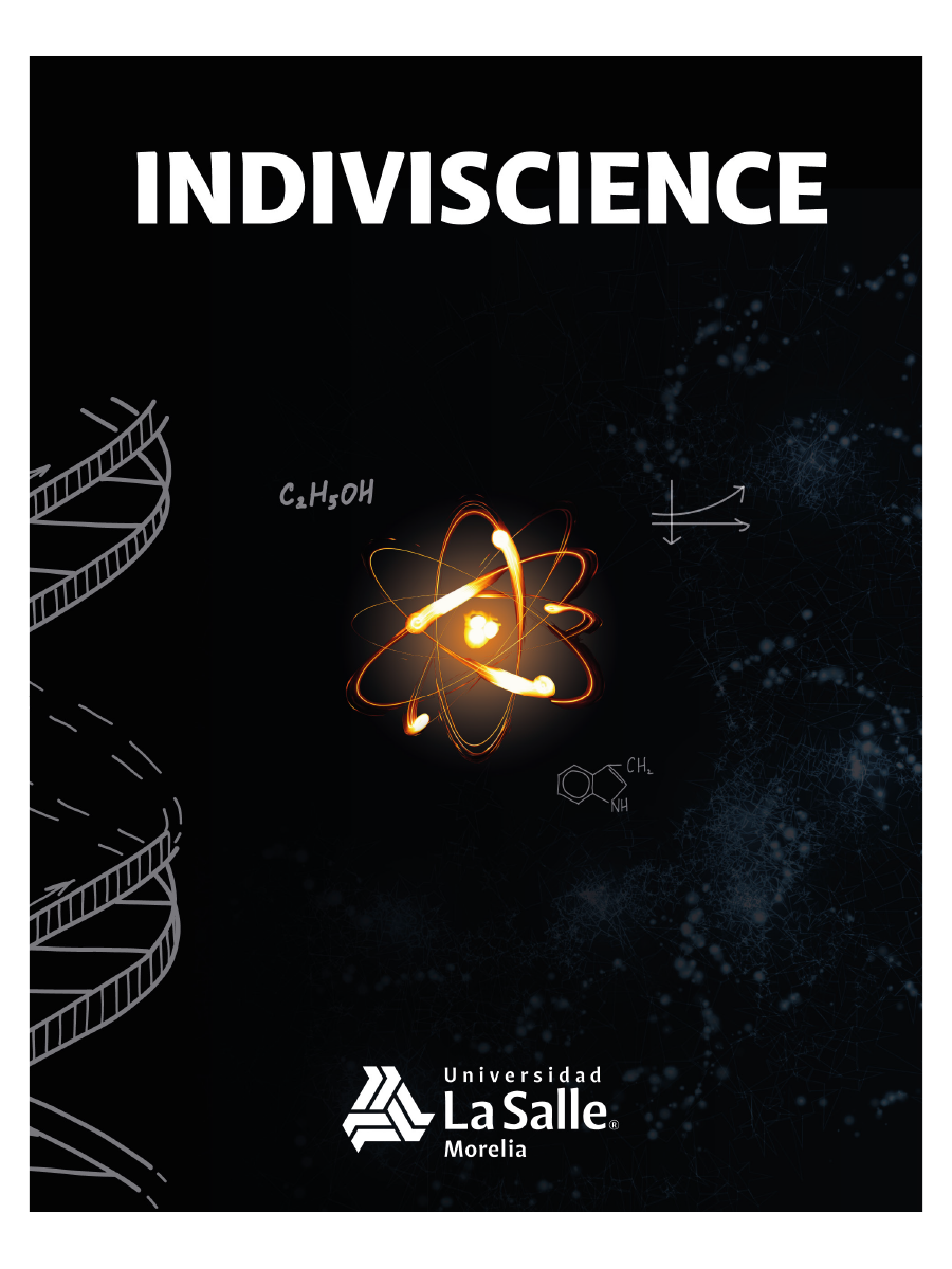 Revista de Investigación