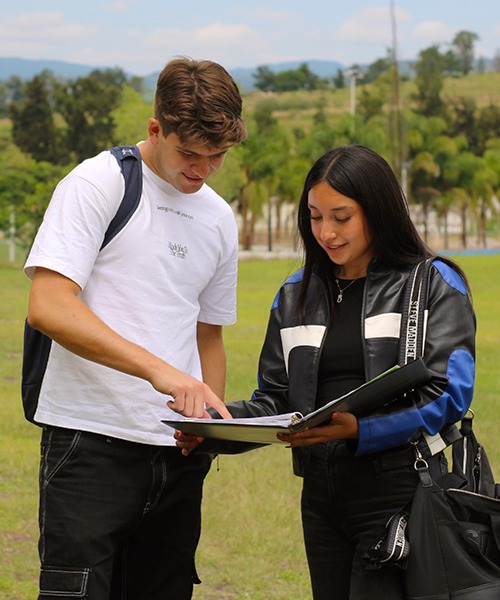 Lic-en_0007_comercio